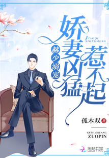 赫少溺宠:娇妻凶猛,惹不起!TXT