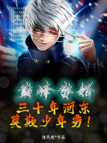 巅峰赘婿:三十年河东,莫欺少年穷!