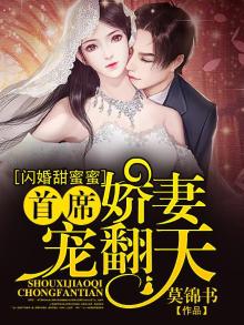 闪婚甜蜜蜜首席娇妻宠翻天笔趣阁
