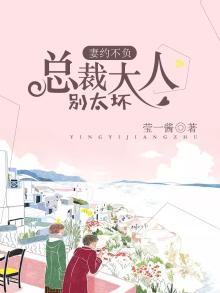 妻约不负:总裁大人别太坏