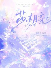 盐渍月亮简介