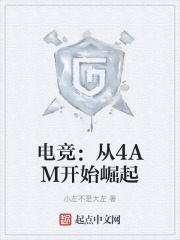 电竞从4am开始崛起笔趣阁