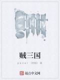 贼三国最后谁得了天下