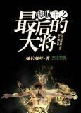 海贼王之最后的大将免费观看