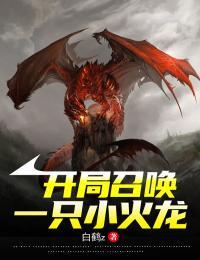 开局召唤一只小火龙