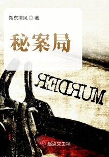 秘案局小说