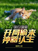 旅行猫猫:开局偷来神器认主