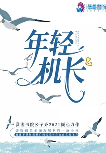 年轻机长