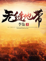 无缝地带电视剧