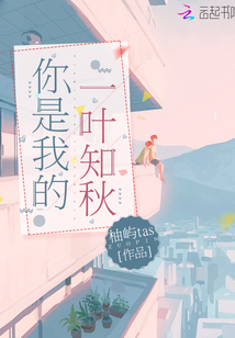 你是我的一叶知秋
