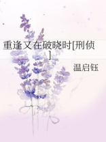 重逢又在破晓时[刑侦]