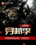 无限制穿越季 小说