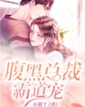 腹黑总裁霸道宠妻 txt