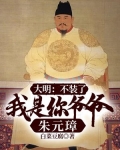 大明不装了我是你爷爷朱元璋朱寿娶的谁
