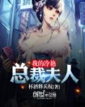 我的冷艳总裁夫人