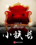 香江之小族长