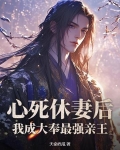心死休妻后我成大奉最强亲王