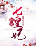 神医七皇妃免费阅读