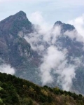 我曾经翻过山和大海是什么歌