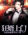 狂婿上门