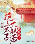 不装了,抱上太子大腿后我真香了