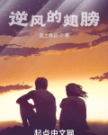 逆风的翅膀