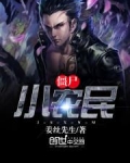 僵尸毁灭工程农民