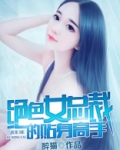 绝色女总裁的贴身高手