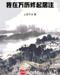 我在万历修起居注小说