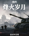 烽火岁月3