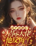 离婚后星际大佬后悔了小说