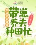 穿成农家农妇