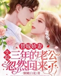 替嫁娇妻,失踪三年的老公忽然回来了