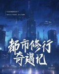 都市修行记 小说