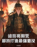诸葛亮太强了吧