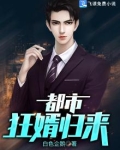 都市狂婿归来 白色企鹅