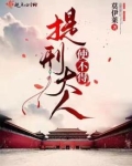 提刑大人使不得起点