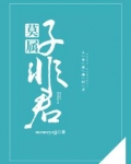 非非君子