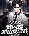 离婚当天,我闪婚冰山女总裁