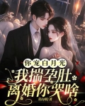 你宠白月光,我揣孕肚离婚你哭啥