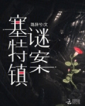 塞特镇谜案
