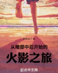 从暗部中忍开始的火影之旅小说