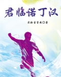 君临诺丁汉 实验室管教