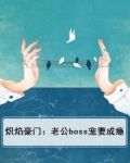 炽焰燃烧 小说
