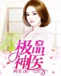 极品神医俏总裁林浩