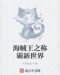 海贼王之称霸新世界 小说