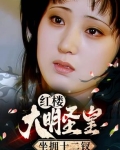 大明圣皇后续