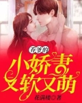 乔爷超宠的 小说
