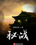 秘战