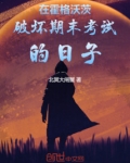在霍格沃茨破坏期末考试的日子